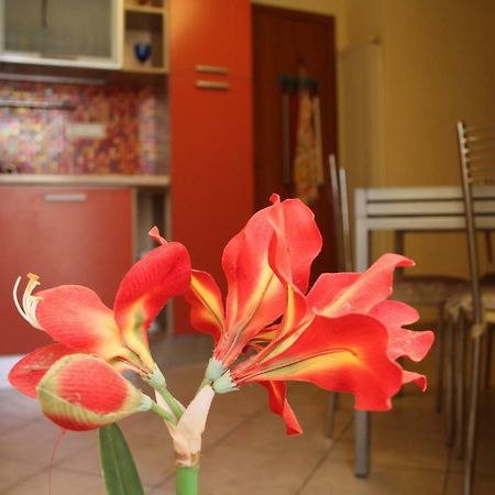 Bed and breakfast Pisa Town Extérieur photo