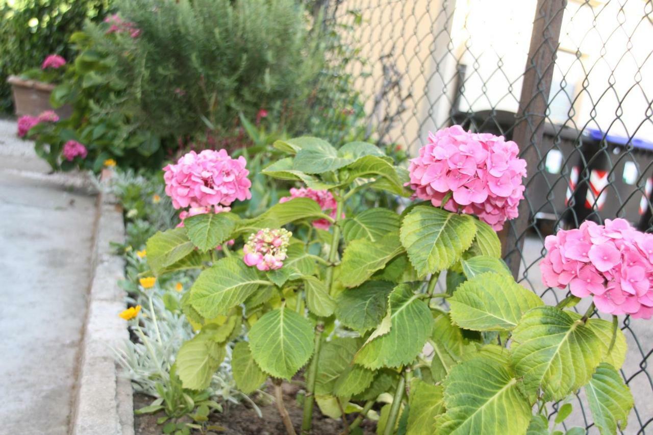 Bed and breakfast Pisa Town Extérieur photo