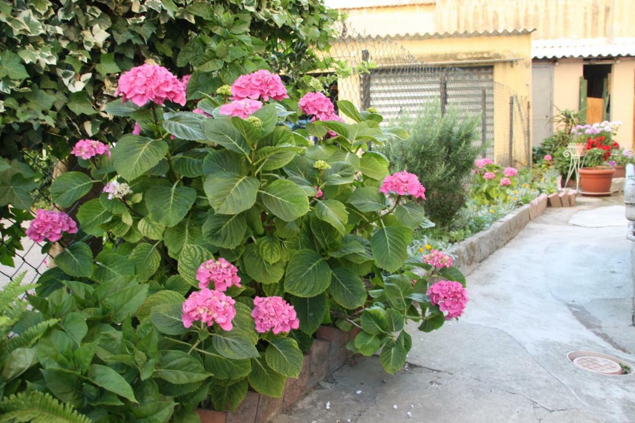 Bed and breakfast Pisa Town Extérieur photo