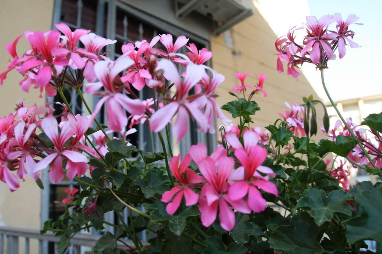 Bed and breakfast Pisa Town Extérieur photo
